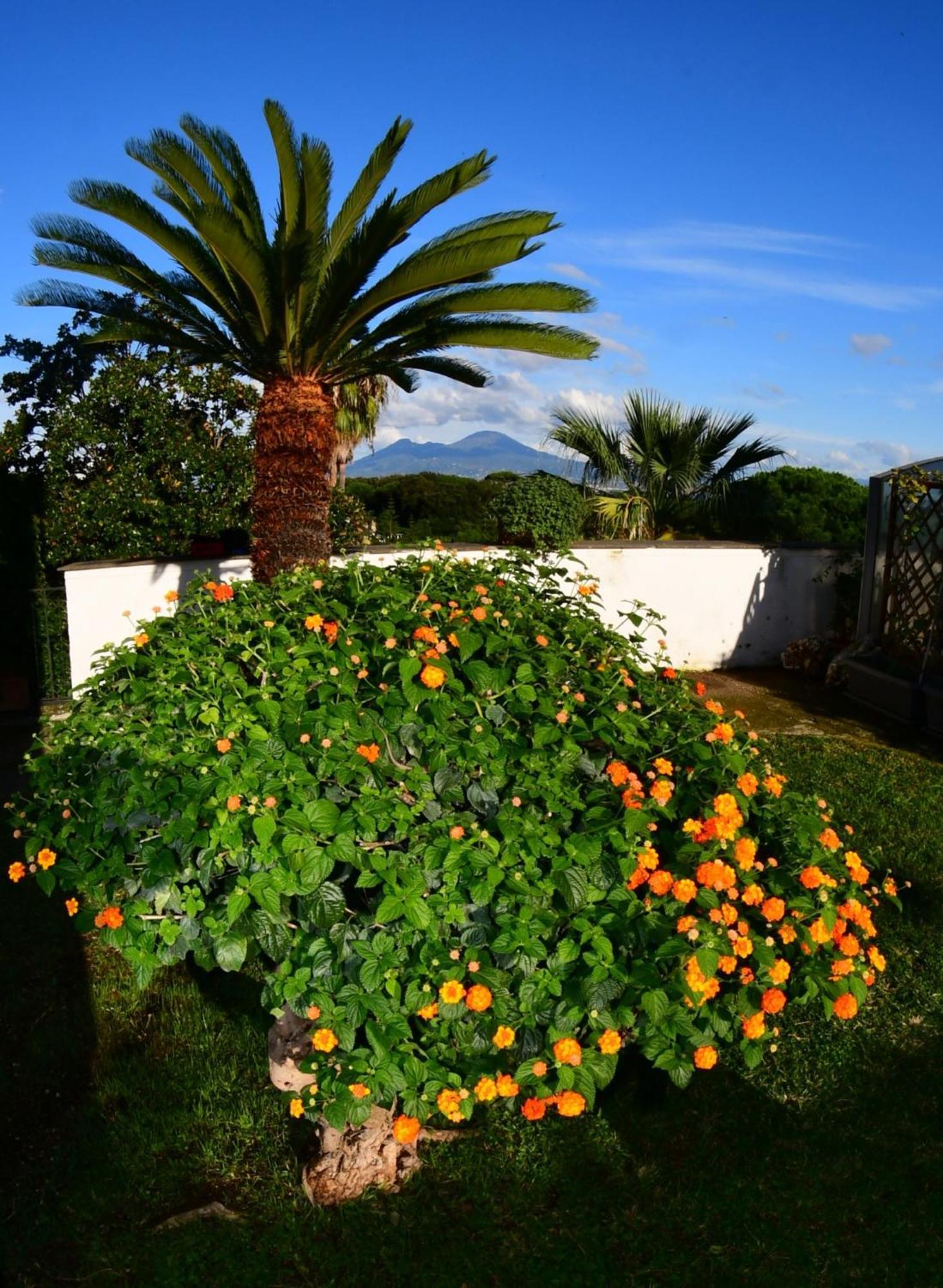 Casa Giulia Azzurra Sirena * Naples